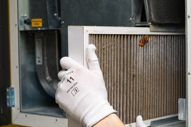 Best Air Duct Mold Removal  in Leisure Village East, NJ